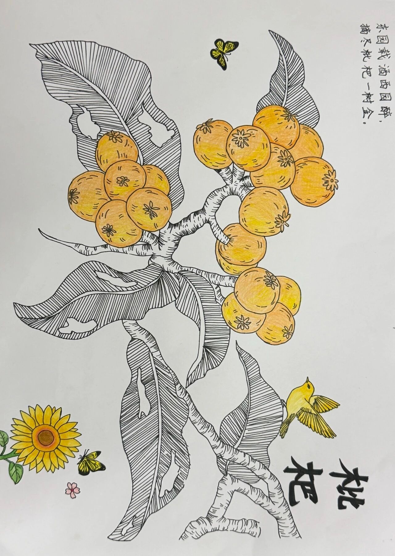 5A28F